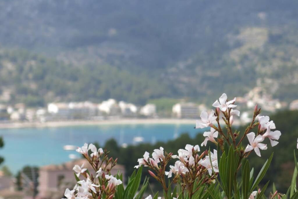 Apartamento En El Puerto De Soller Con Gran Terraza Privada Y Vistas Al Mar. Piscina Comunitaria. Localizado En Un Zona Tranquila Y Muy Soleada. Wifi Gratis Disponible. Parking. Dış mekan fotoğraf